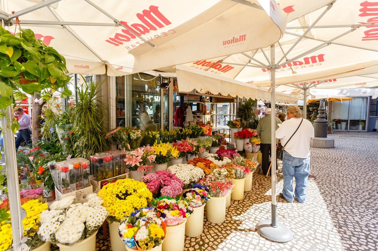 Casa Flamenco Διαμέρισμα Καντίζ Εξωτερικό φωτογραφία